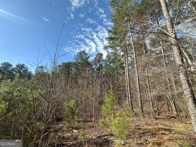 0 Ruckersville Rd unit 10490441, Elberton, GA 30635 - photo 4