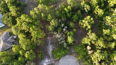 View of bird's eye view