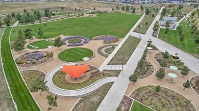 Park amenities and events