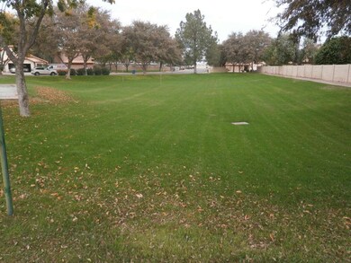 Park Across the Street