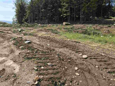 Lot 46 1-1 George Rd unit 46 1-1, Hebron, NH 03241 - photo 7