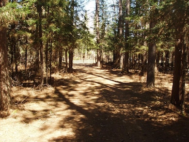 79879 Hinz Rd, Glidden, WI 54527 - photo 7