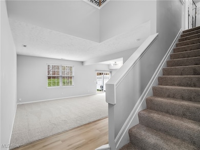 8508 Roxbury Ct, Olmsted Falls, OH 44138 - photo 6