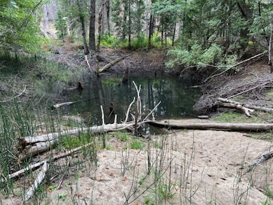 Spring fed Pond!