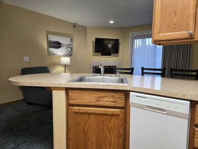 111 Center St unit 355, Lake Geneva, WI 53147 - photo 5