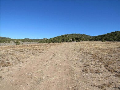 4307 Beekman Rd, Fort Garland, CO 81133 - photo 6