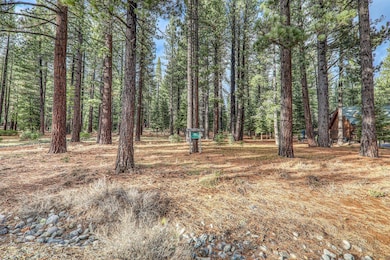 12492 Granite Dr, Truckee, CA 96161 - photo 4