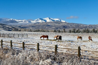 Great place for horses