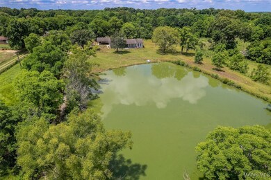 5554 Mason Rd, Hope Hull, AL 36043 - photo 5