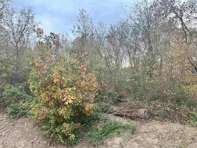 0 Main St, Alicia, AR 72410 - photo 3