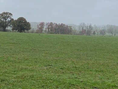 000 Farm Road 2000, Aurora, MO 65605 - photo 7