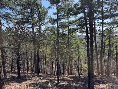 0 Fox Ridge Rd unit 25010505, Little Rock, AR 72223 - photo 6