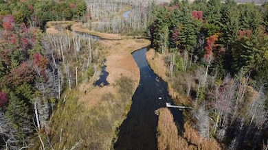 5683 Tyndal Rd, Branch Township, MI 49402 - photo 3