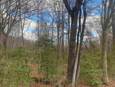 7 Hughey Talley Rd, Selmer, TN 38375 - photo 3