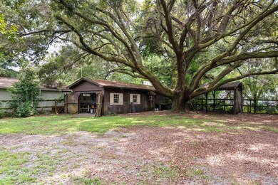 1998 Rain mini-angel oak