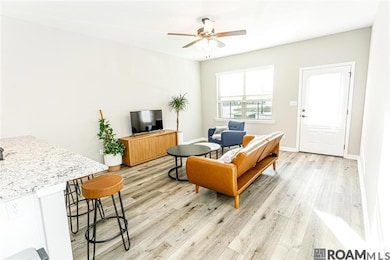 2931 Niccoline Way, Baton Rouge, LA 70816 - photo 4