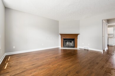 Living Room Fireplace