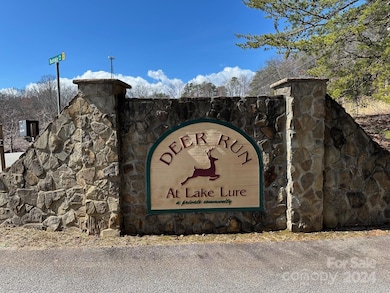 132 Chasewood Dr, Rutherfordton, NC 28139 - photo 6