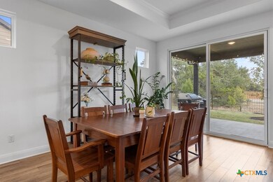 404 Climbing Rock Loop, Dripping Springs, TX 78620 - photo 5