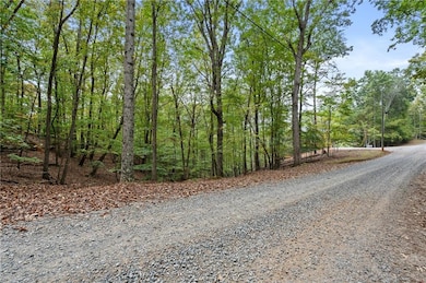 0 Pamela Ct unit 7655875, Ellijay, GA 30540 - photo 7