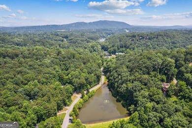 0 Flat Ridge Rd unit 10490565, Ellijay, GA 30540 - photo 5