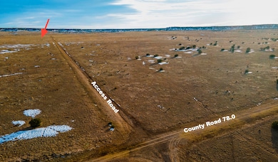 MODIFIED-2024-12-02-DJI_0557