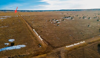 MODIFIED-2024-12-02-DJI_0557