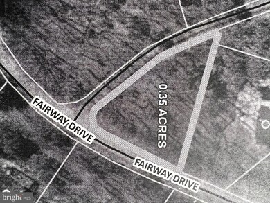 0 Pheasant Dr unit VASH2007808, Basye, VA 22810 - photo 2