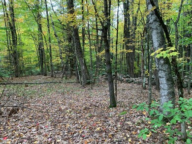 00 Stony Brook Dr, Limerick, ME 04048 - photo 4