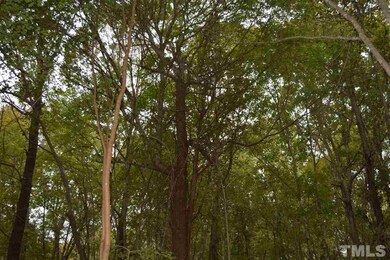 0 Pete Roberson Rd, Pittsboro, NC 27312 - photo 3