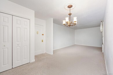 Linden Hill unit 1F, Flushing, NY 11354 - photo 6