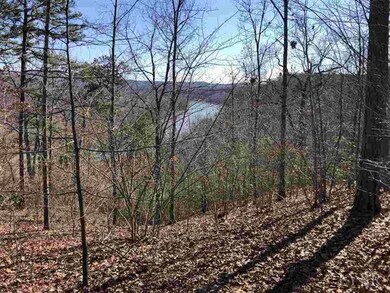 0 Norwood Rd unit 323358, Norwood, VA 24581 - photo 2