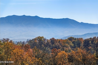 686 Stockton Dr, Sevierville, TN 37876 - photo 7