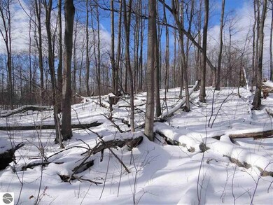 8314 Boca Vista Trail unit 2, Elmwood Charter Township, MI 49684 - photo 7