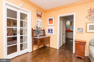 231 Park Ave, Swarthmore, PA 19081 - photo 6