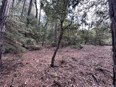 0 Round Robin Dr unit 219139116DA, Idyllwild, CA 92549 - photo 7