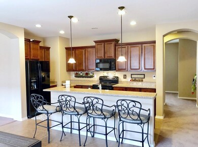 1010 W Witt Ave, San Tan Valley, AZ 85140 - photo 7