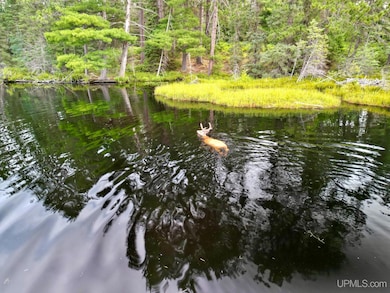 2920 Bywater Ln, Republic, MI 49879 - photo 5