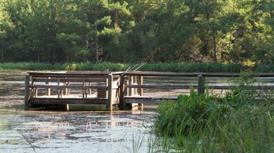 0 Concord Bainbridge Rd unit 259768, Havana, FL 32333 - photo 5