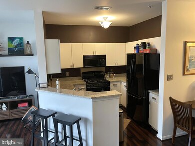 2006 Peggy Stewart Way unit 204, Annapolis, MD 21401 - photo 6