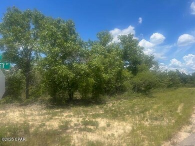 TBD Cachet Ct unit 9, Chipley, FL 32428 - photo 7