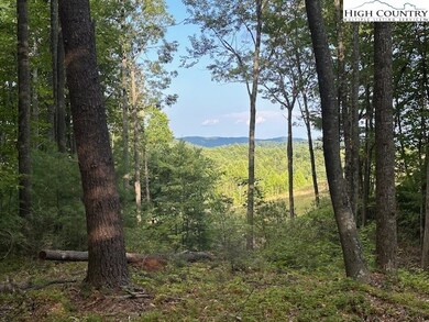 27 Wilderness Reserve Pkwy, Deep Gap, NC 28618 - photo 6