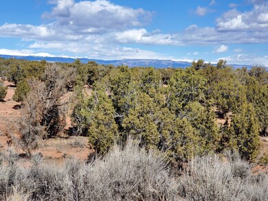 Looking north across the foliage of the lot.  Uinta mountains in the background.