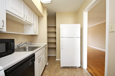 2422 Barracks Place unit 4, Charlottesville, VA 22901 - photo 7