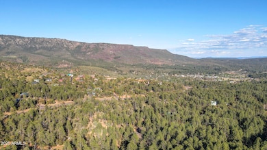 Lot 4 Pine Hollow Trail unit 4, Pine, AZ 85544 - photo 4