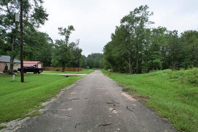 00 Willow St, Cleveland, TX 77328 - photo 6