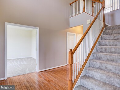 905 Castlerock Ln, Berryville, VA 22611 - photo 4