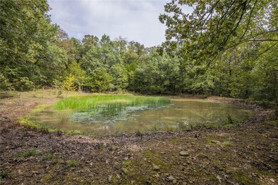 11604 Colcleasure Rd, Fayetteville, AR 72701 - photo 7