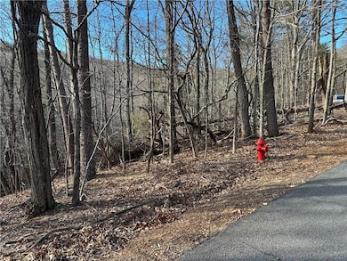 Lot 1141 Oglethorpe Mountain Road.