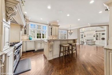 15W280 Plainfield Rd, Burr Ridge, IL 60527 - photo 6